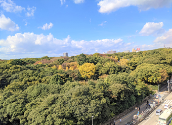 パッソイメージ